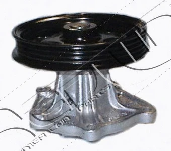 Pompe à eau, refroidissement du moteur RED-LINE 28TO019