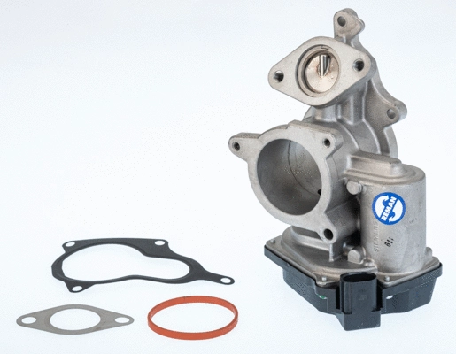 Vanne EGR BorgWarner 710931R