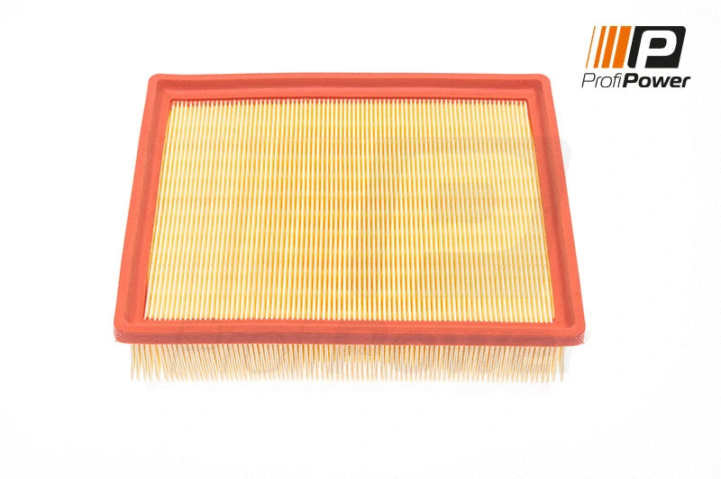Filtre à air ProfiPower 2F0102