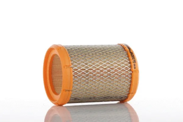 Filtre à air PZL Filters WA20175