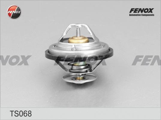 Thermostat, liquide de refroidissement FENOX TS068