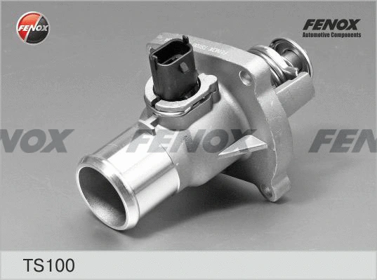 Thermostat, liquide de refroidissement FENOX TS100