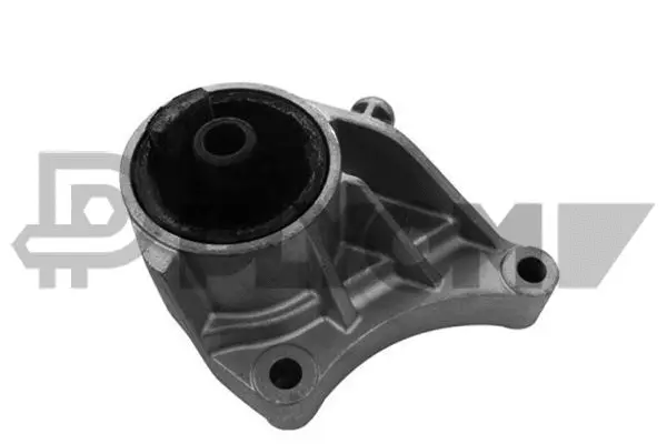 Support moteur PLYOM P755965