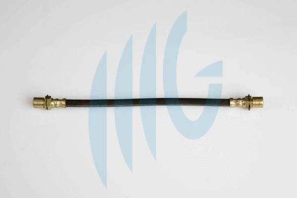Flexible de frein RICAMBIFLEX GM 02560976