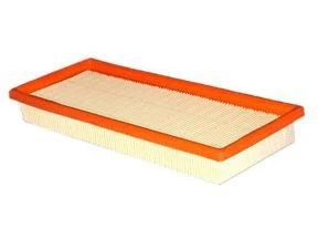 Filtre à air ACDelco Oceania ACA349