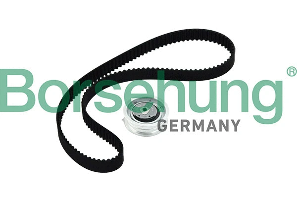 Kit de courroie crantée Borsehung B10219