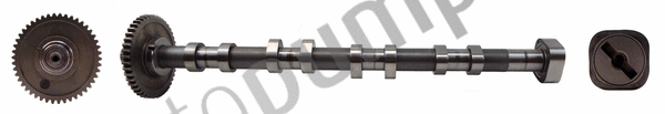 Arbre à came Autopumps UK AC2131