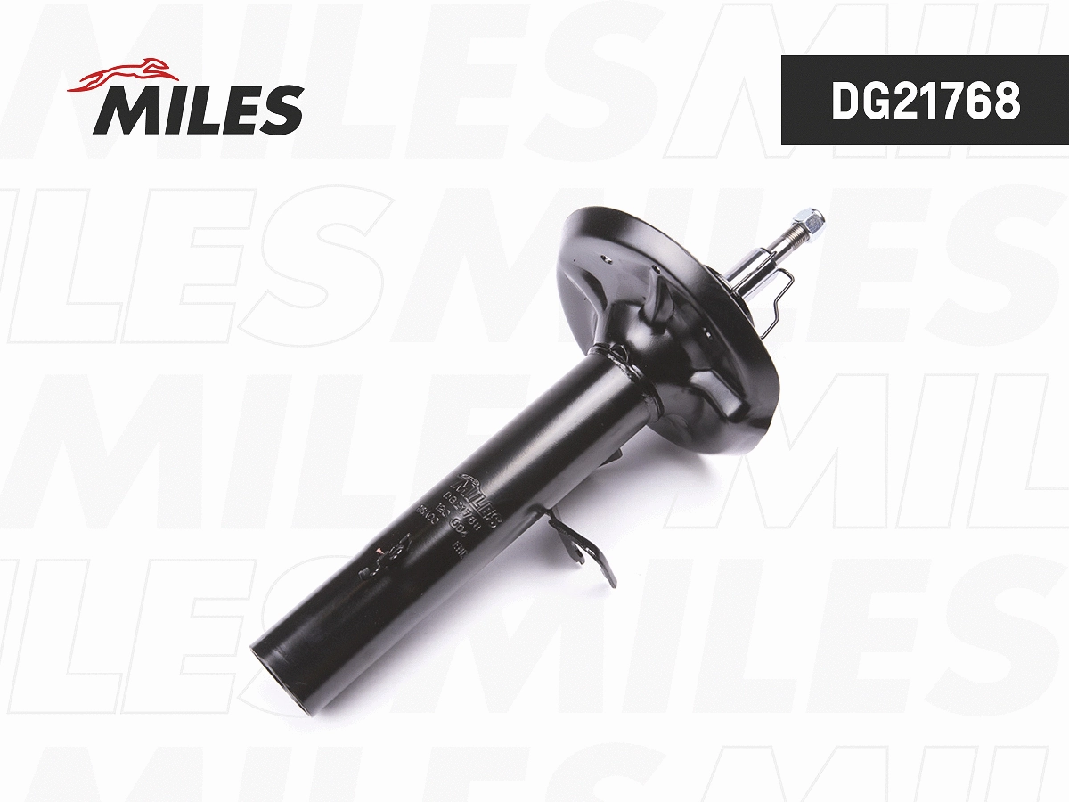 Amortisseur MILES DG21768
