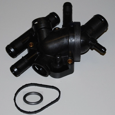 Thermostat, liquide de refroidissement BorgWarner (Wahler) 410518.89D