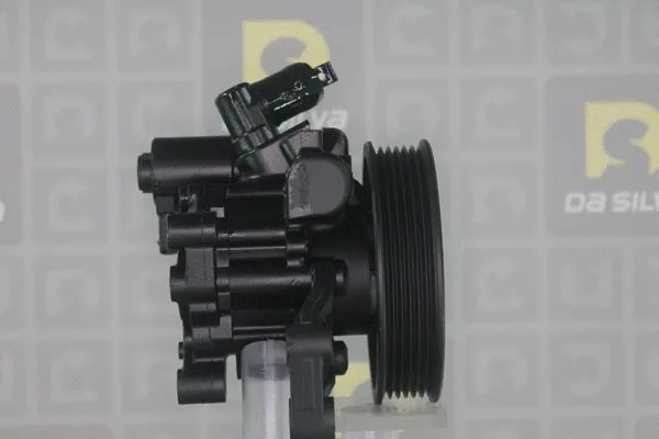 Pompe hydraulique, direction DA SILVA DP3356