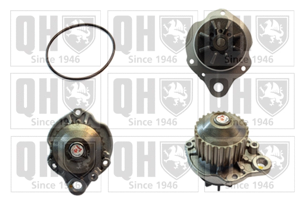 Pompe à eau, refroidissement du moteur QUINTON HAZELL QCP3375
