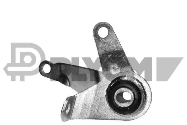 Support moteur PLYOM P011080