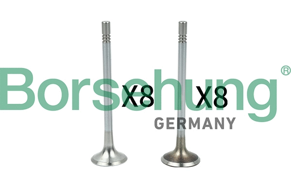 Kit de soupapes, soupapes d’admission/d’échappement Borsehung B18629