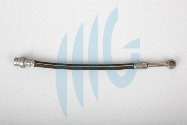 Flexible de frein RICAMBIFLEX GM 02160890