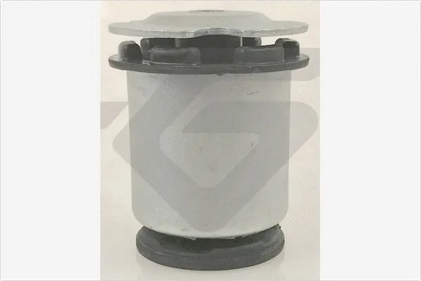 Suspension, corps de l'essieu HUTCHINSON 590435