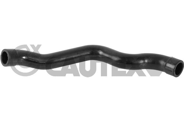Tuyau, ventilation de carter-moteur CAUTEX 775460