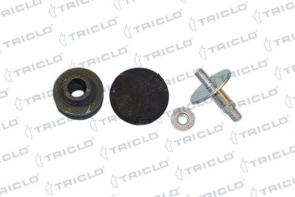Jeu de boulons de culasse de cylindre TRICLO 312144