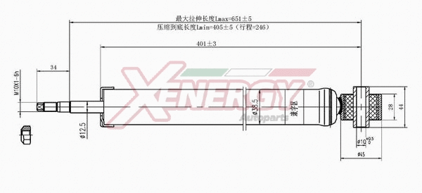 Amortisseur AP XENERGY X438343