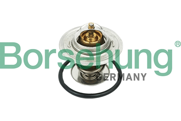 Thermostat, liquide de refroidissement Borsehung B18268