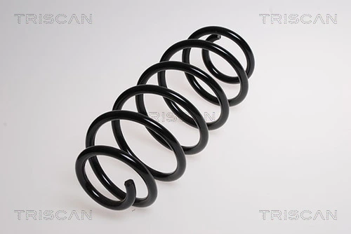 Ressort de suspension TRISCAN 8750 13152