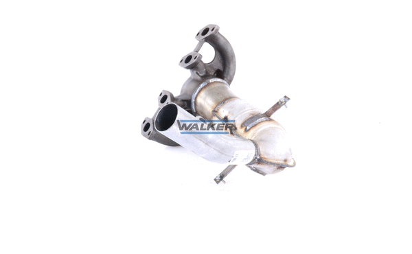 Catalyseur WALKER 20725