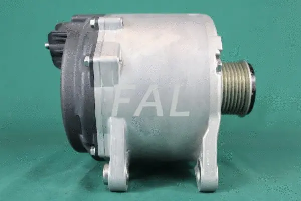 Alternateur FAL Anlasser- und Lichtmaschinenservice F012602/1
