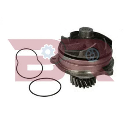 Pompe à eau, refroidissement du moteur BOTTO RICAMBI BRAC0785