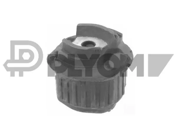 Suspension, corps de l'essieu PLYOM P755703