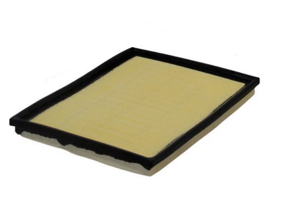 Filtre à air ACDelco Oceania ACA105