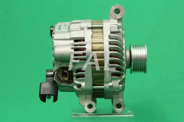 Alternateur FAL Anlasser- und Lichtmaschinenservice F015803/1
