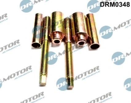 Vis, support pour contrôleur d'injecteurs LIZARTE DRM0348