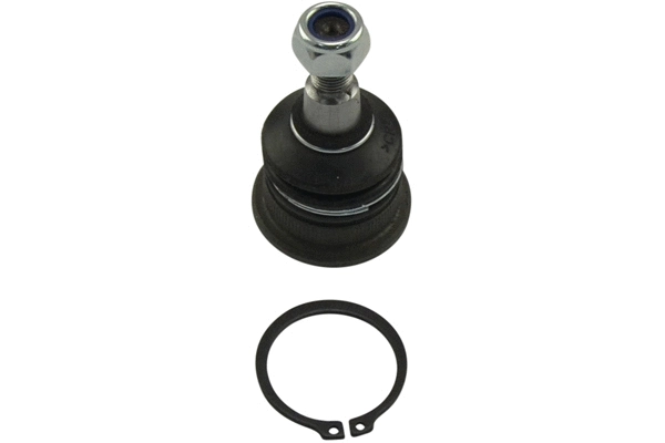 Rotule de suspension KAVO PARTS SBJ-3035