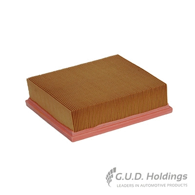 Filtre à air GUD AG1205