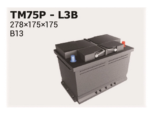 Batterie de démarrage IPSA TM75P