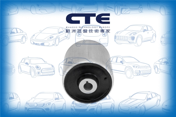Suspension, bras de liaison CTE CBH09047