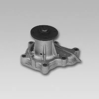 Pompe à eau, refroidissement du moteur GK 981744