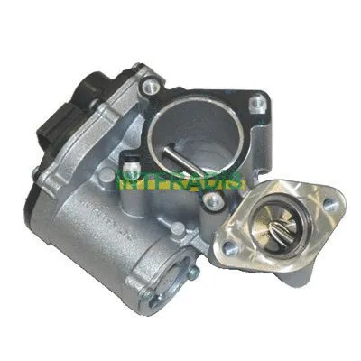 Vanne EGR INTFRADIS 25701
