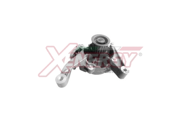 Pompe à eau, refroidissement du moteur AP XENERGY X208061