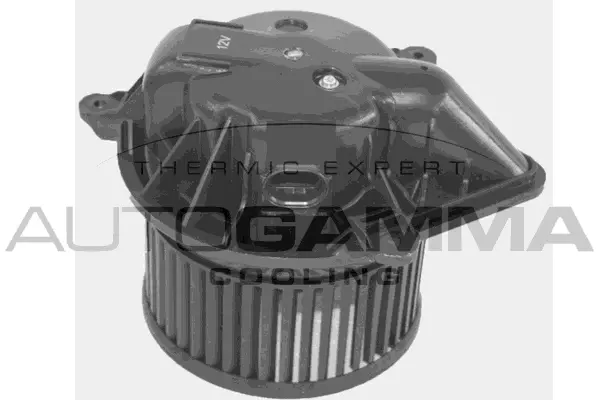 Pulseur d'air habitacle AUTOGAMMA GA35010