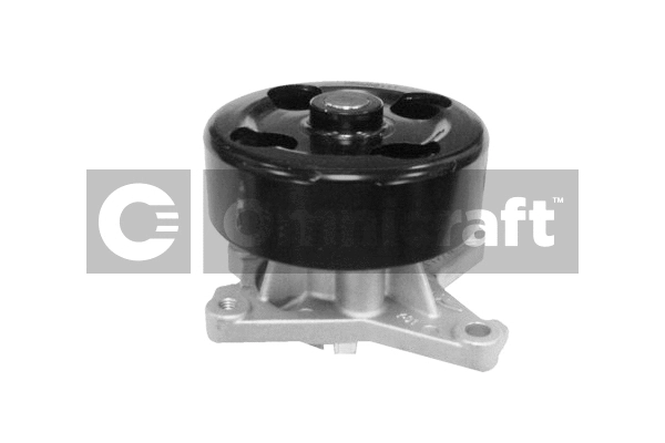 Pompe à eau, refroidissement du moteur Omnicraft 2317278