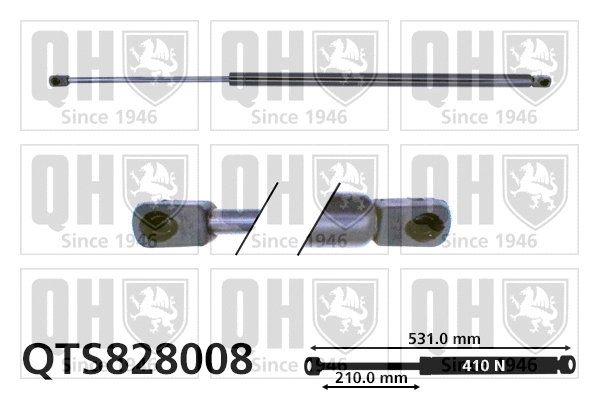 Vérin de hayon, de coffre QUINTON HAZELL QTS828008