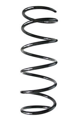 Ressort de suspension SPIDAN 56385