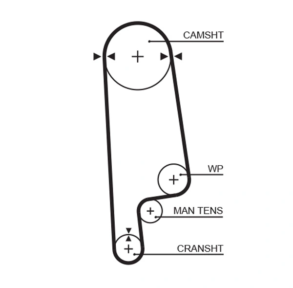 Courroie crantée GATES 5084XS
