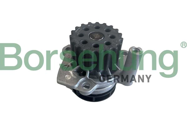 Pompe à eau, refroidissement du moteur Borsehung B11212