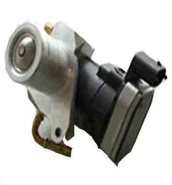 Vanne EGR ASSO 70.0105