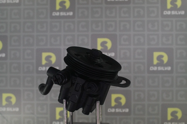 Pompe hydraulique, direction DA SILVA DP3618