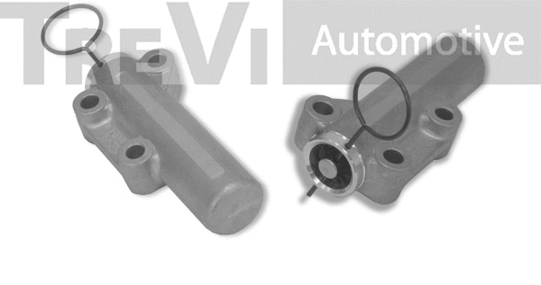 Amortisseur de vibrations, courroie crantée TREVI AUTOMOTIVE TD1581