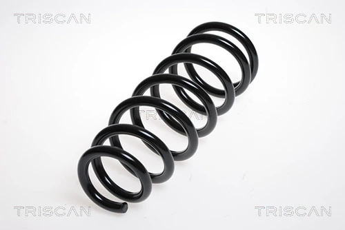 Ressort de suspension TRISCAN 8750 13116