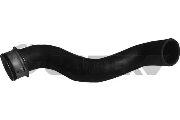 Durite de radiateur CAUTEX 753904