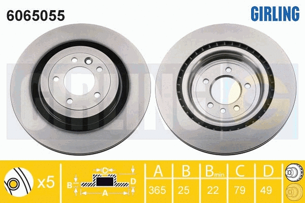 Disque de frein GIRLING 6065055